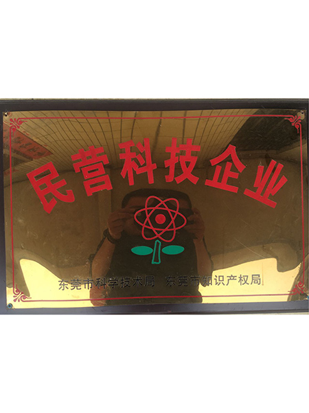 民營科技企業