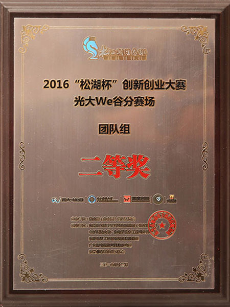 松湖杯創新創業大賽二等獎